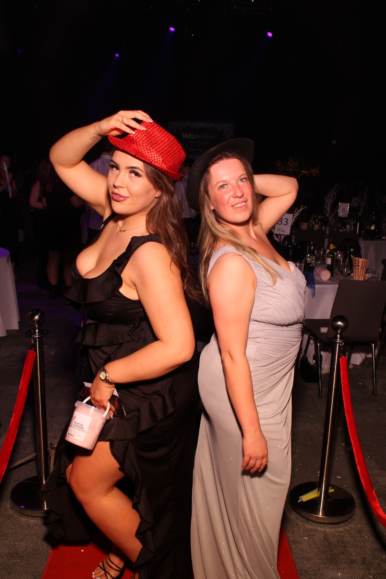 VetsForPets Mid Winter Ball — Corporate Event photo gallery